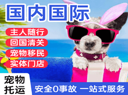 福成航空邮寄国际宠物托运 【国
